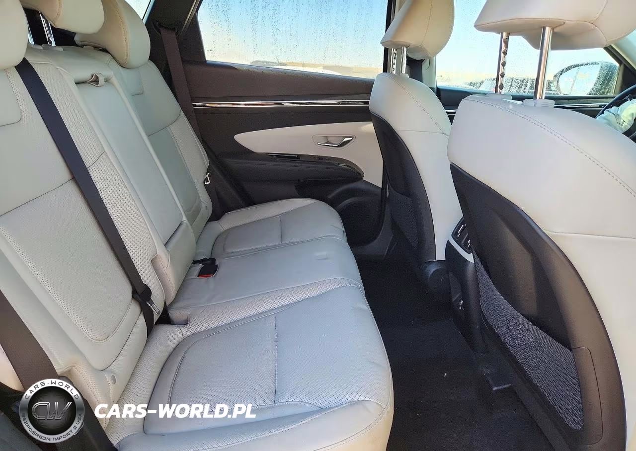 2023 Hyundai Tucson Limited VIN:KM8JECA18PU113336 - 10