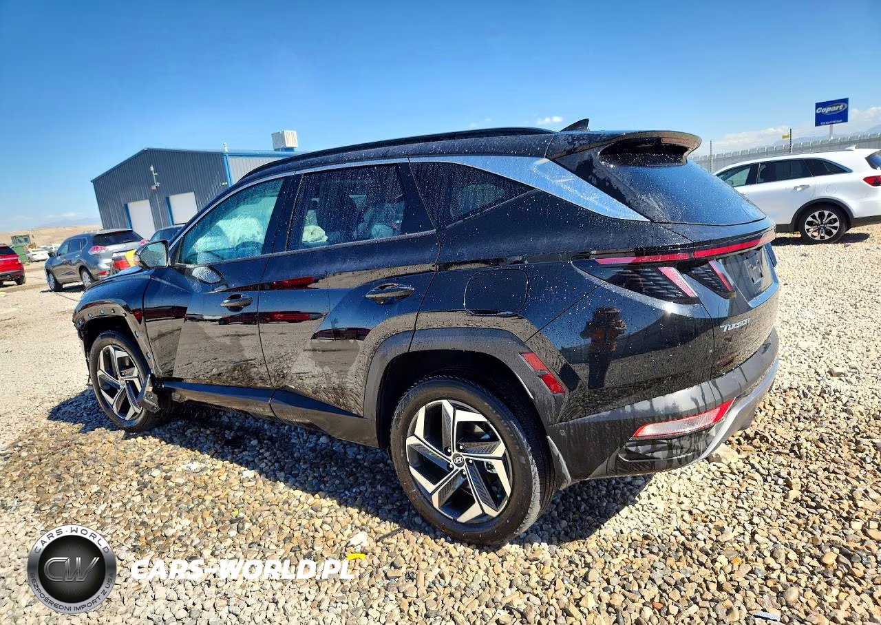 2023 Hyundai Tucson Limited VIN:KM8JECA18PU113336 - 2