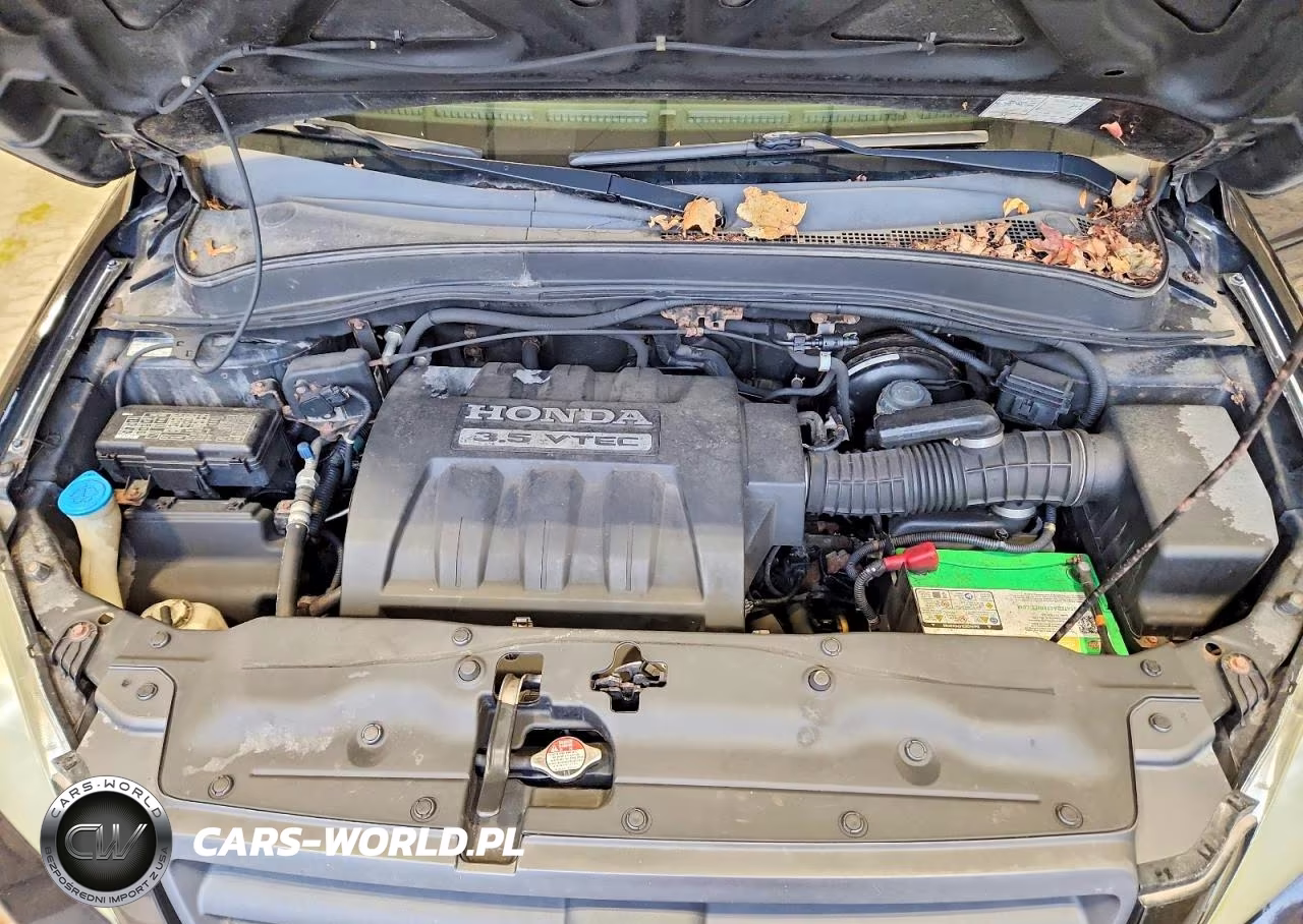 2005 Honda Pilot Exl VIN:5FNYF185X5B052574 - 12