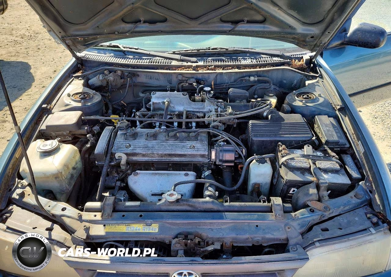 1995 Toyota Corolla Dx VIN:1NXAE09B2SZ314752 - 11