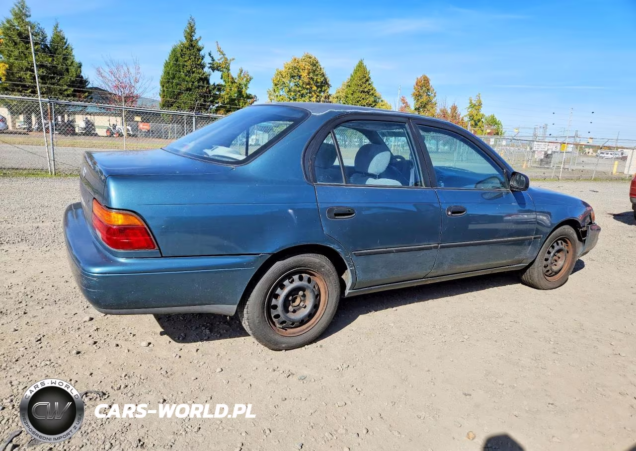 1995 Toyota Corolla Dx VIN:1NXAE09B2SZ314752 - 3