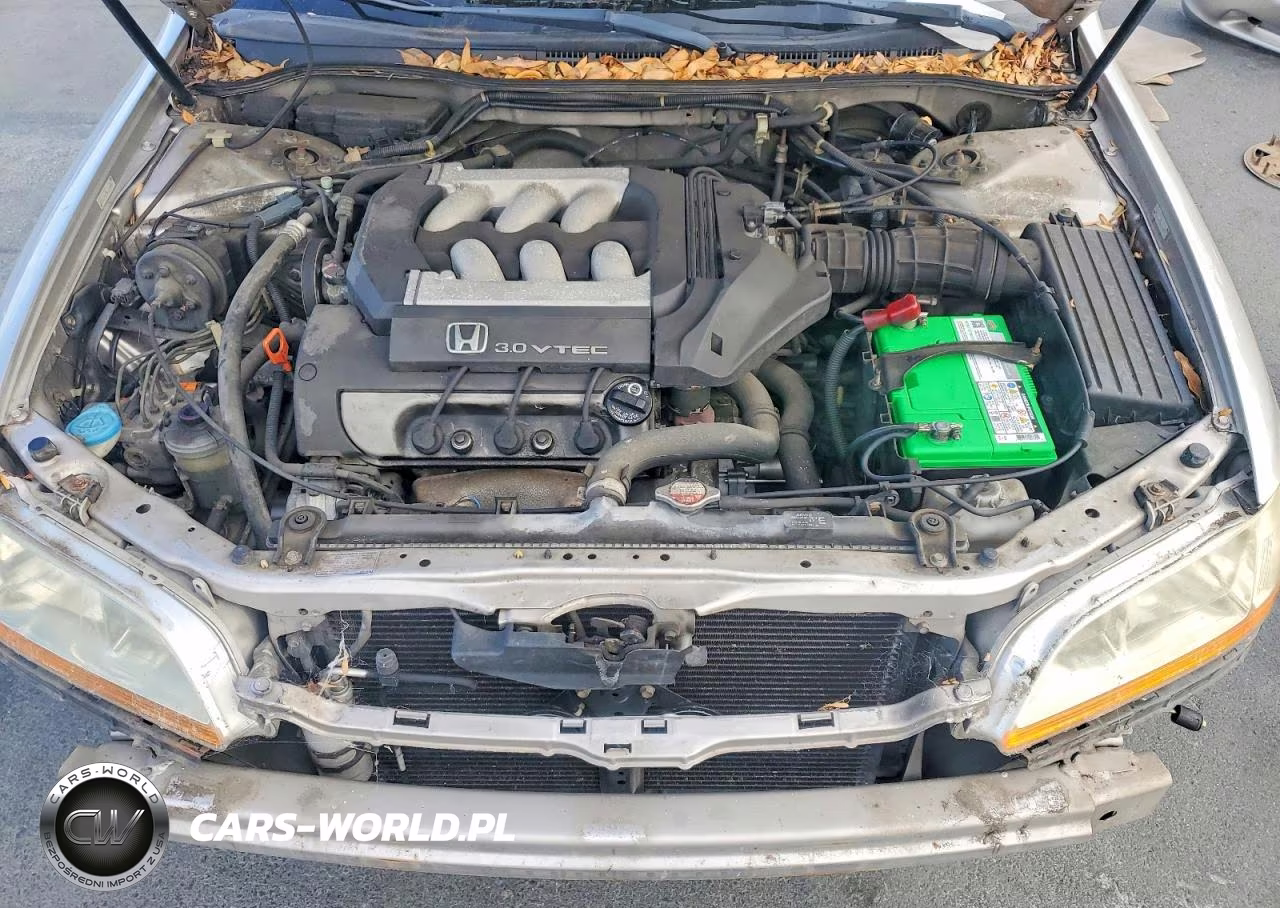 1998 Honda Accord Lx VIN:1HGCG1645WA074849 - 11
