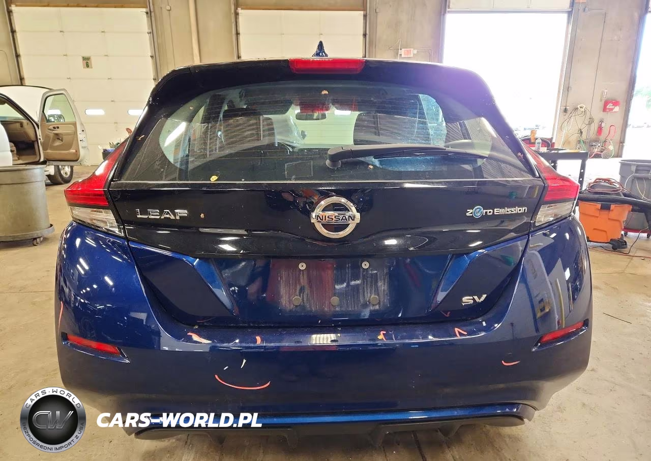 2019 Nissan Leaf Sv VIN:1N4AZ1CP8KC314575 - 6