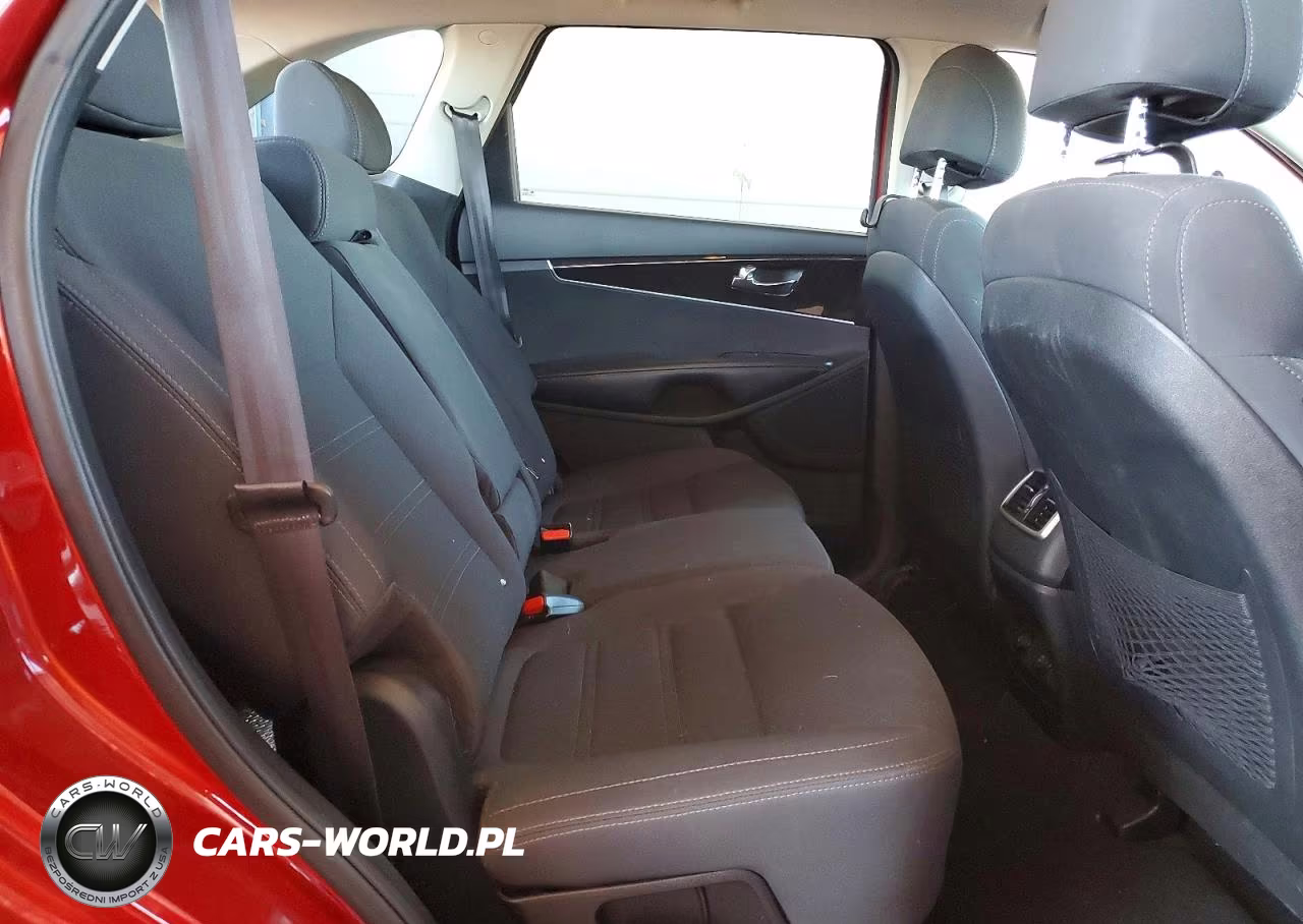 2017 Kia Sorento Lx V6 VIN:5XYPGDA50HG334174 - 10