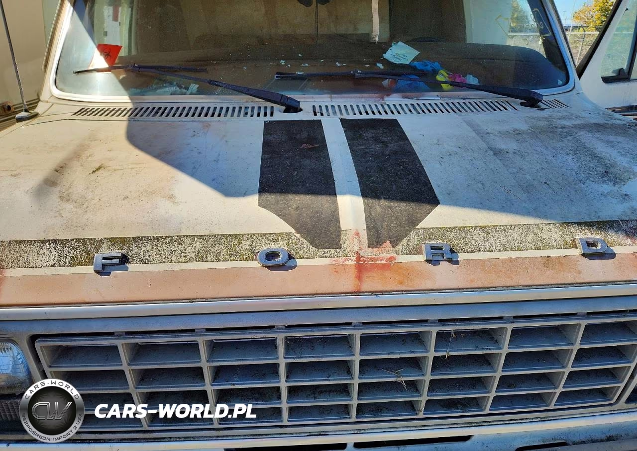 1982 Ford Tioga VIN:1FDKE30L6CHB42344 - 7