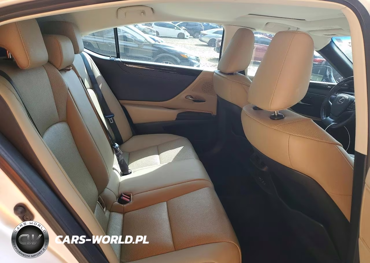2020 Lexus Es 350 VIN:58ADZ1B13LU082200 - 10