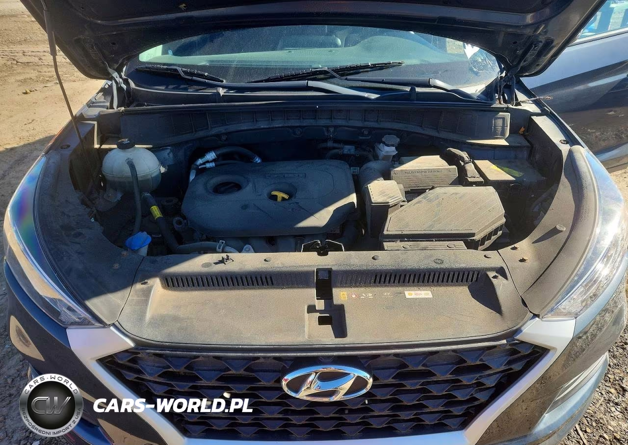 2019 Hyundai Tucson Se VIN:KM8J2CA4XKU998196 - 12