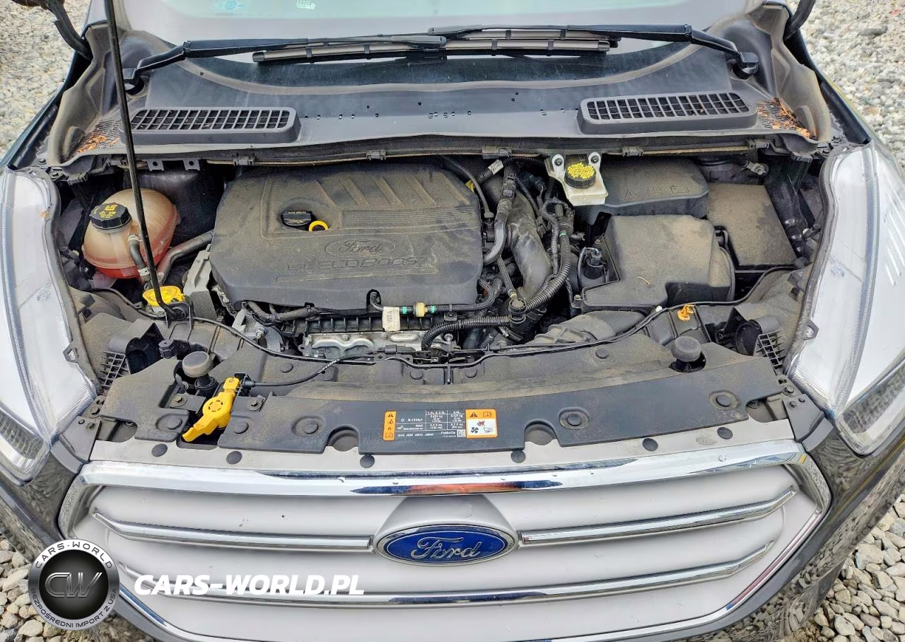 2018 Ford Escape Se VIN:1FMCU9GD0JUD38292 - 12