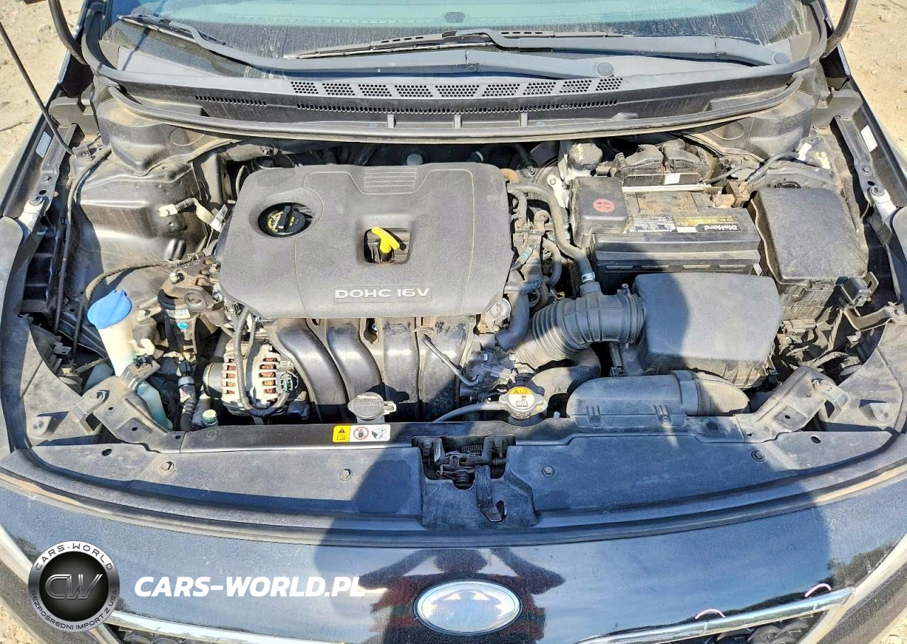 2017 Kia Forte Lx VIN:3KPFK4A72HE074501 - 11