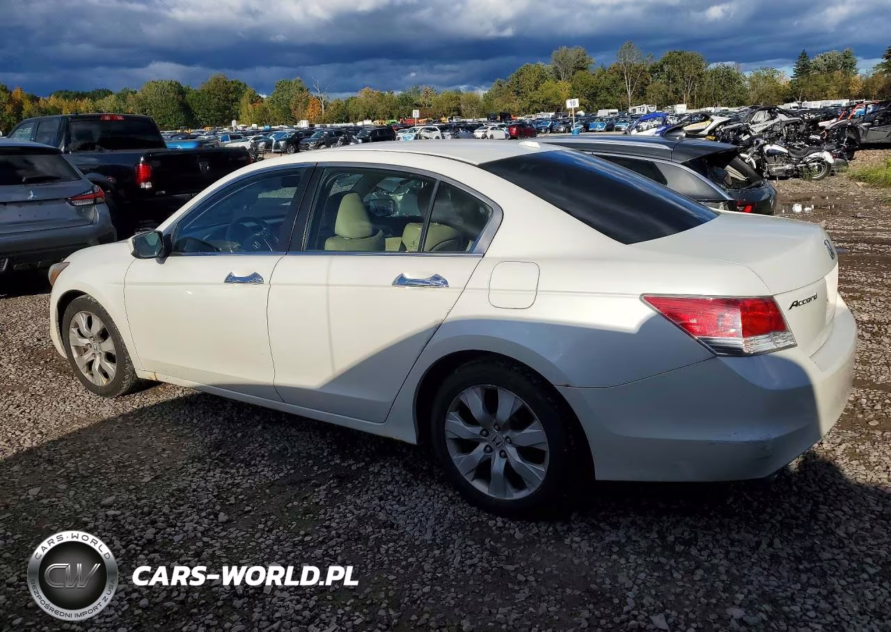 2008 Honda Accord Exl VIN:1HGCP36858A067398 - 2