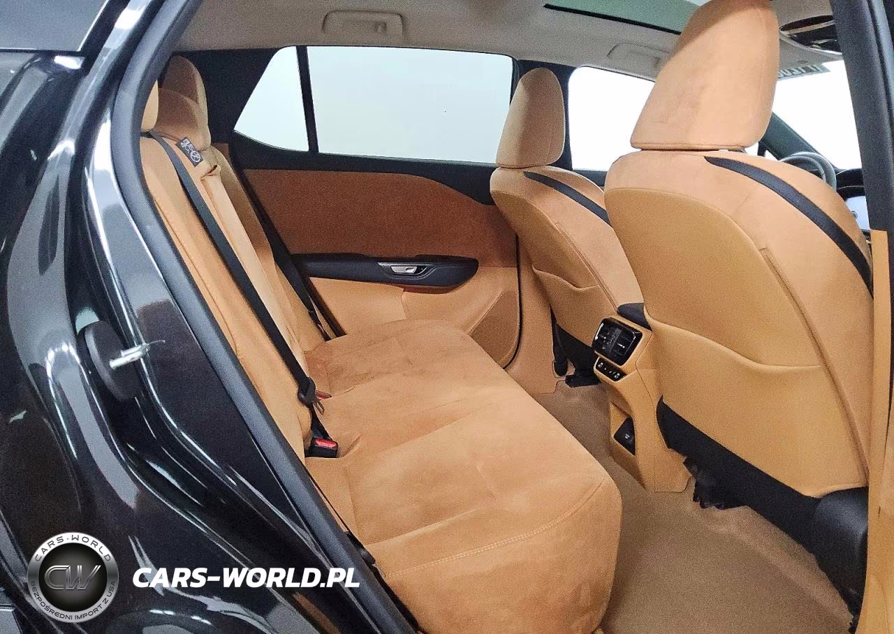 2024 Lexus Rz 300E VIN:JTJABABB2RA007345 - 10