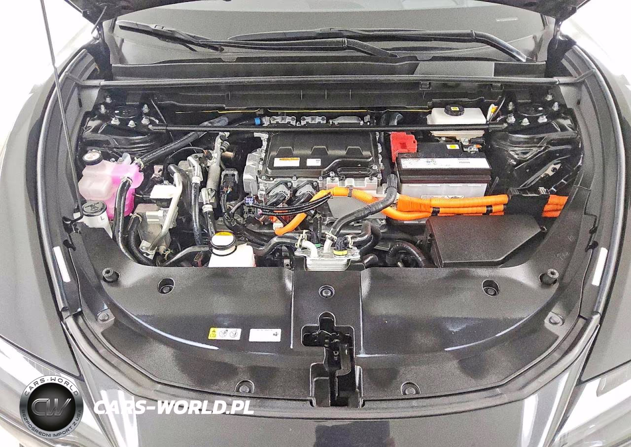 2024 Lexus Rz 300E VIN:JTJABABB2RA007345 - 11