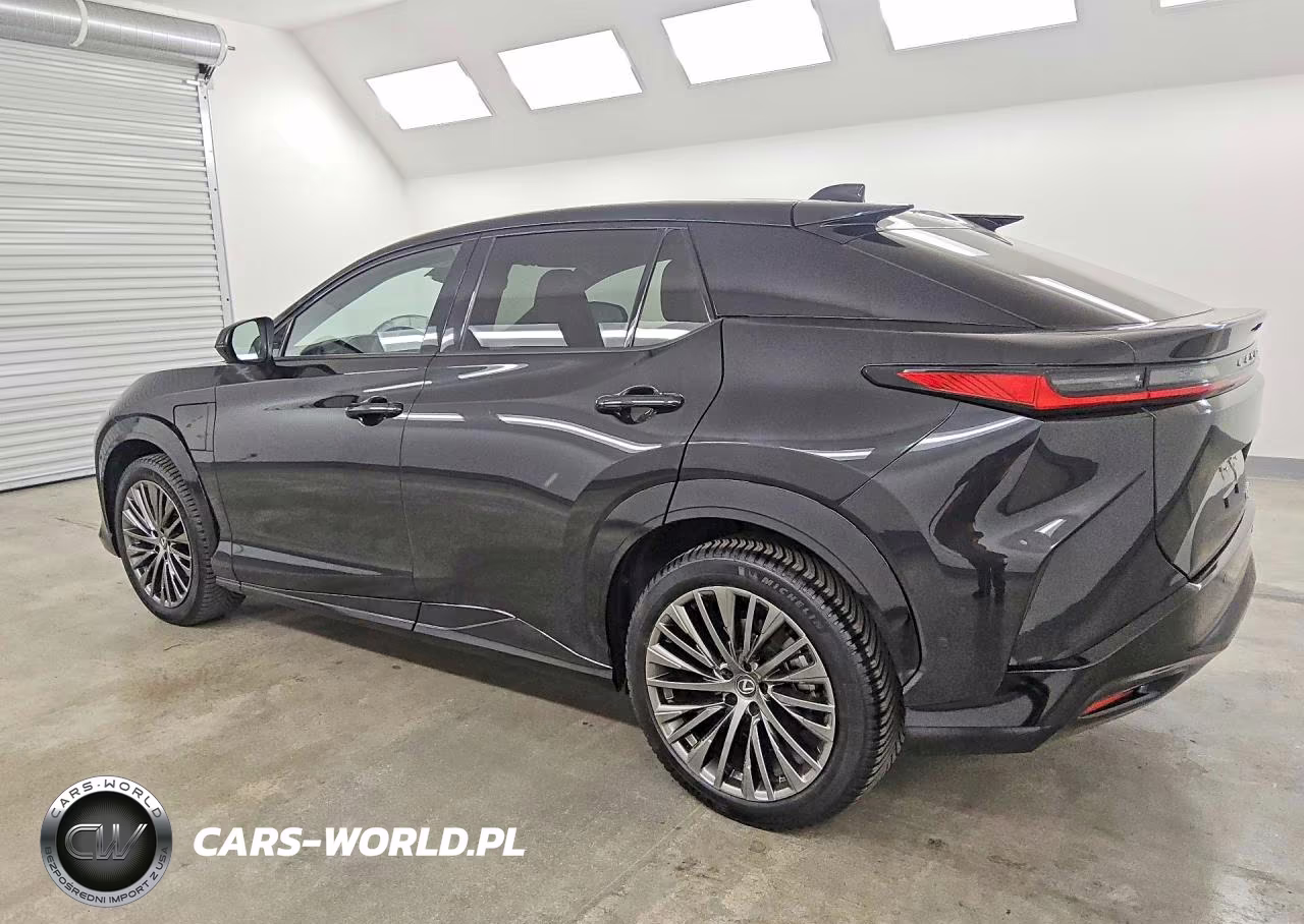 2024 Lexus Rz 300E VIN:JTJABABB2RA007345 - 2