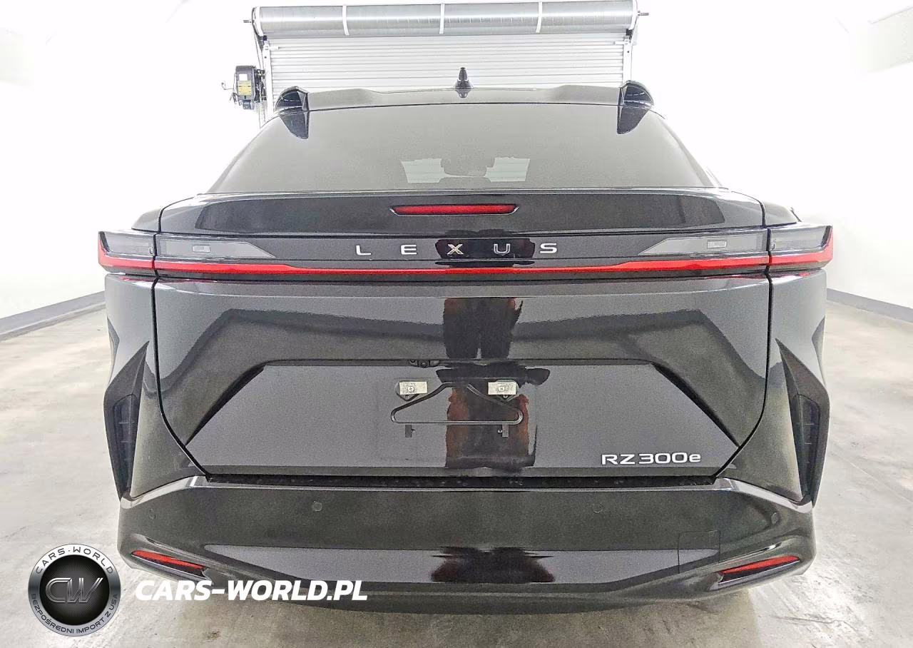 2024 Lexus Rz 300E VIN:JTJABABB2RA007345 - 6
