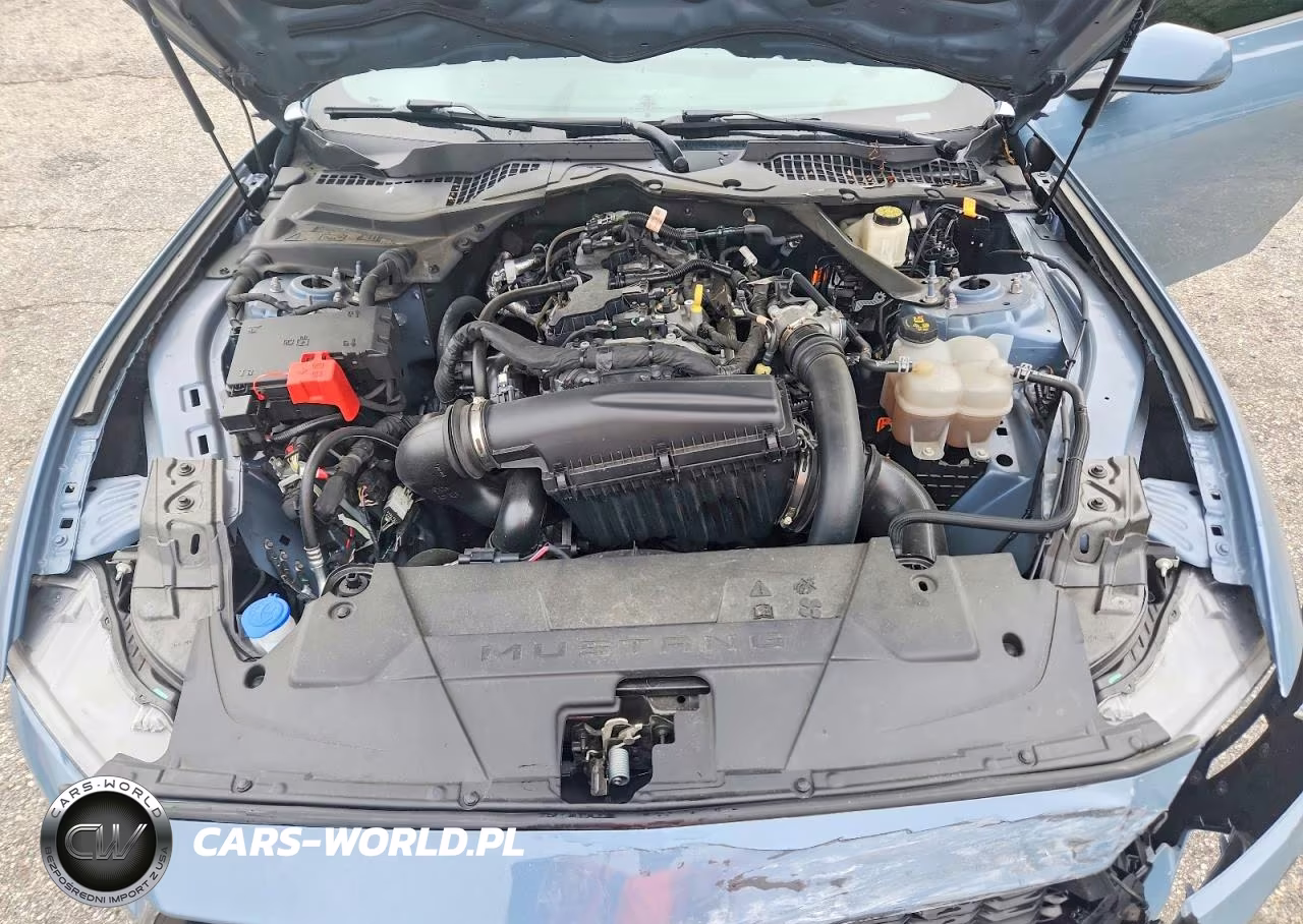 2024 Ford Mustang VIN:1FA6P8TH3R5126932 - 11