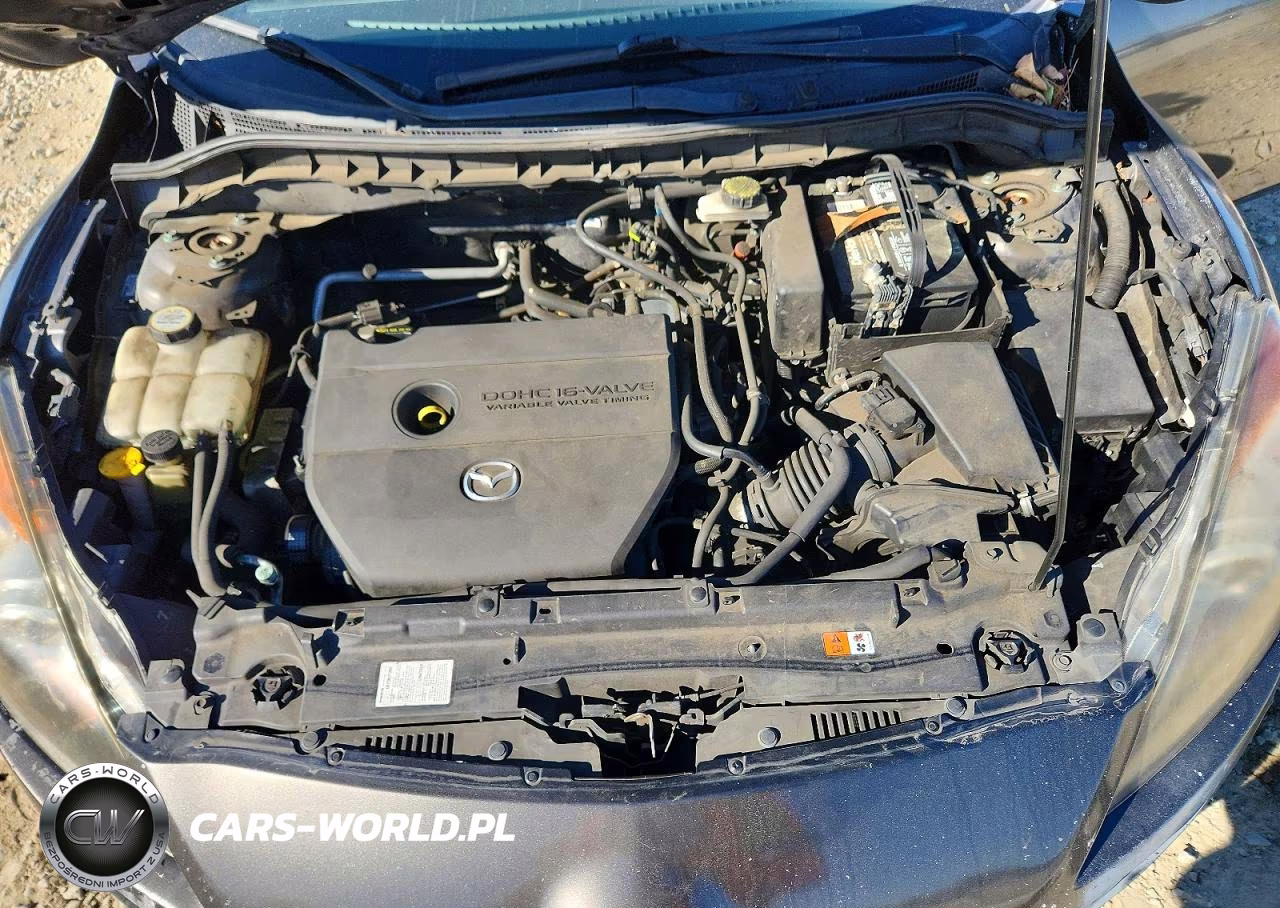 2010 Mazda 3 I VIN:JM1BL1SGXA1165761 - 11