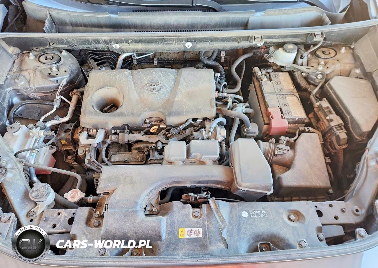 2024 Toyota Rav4 Xle VIN:2T3W1RFV2RW322078 - 12