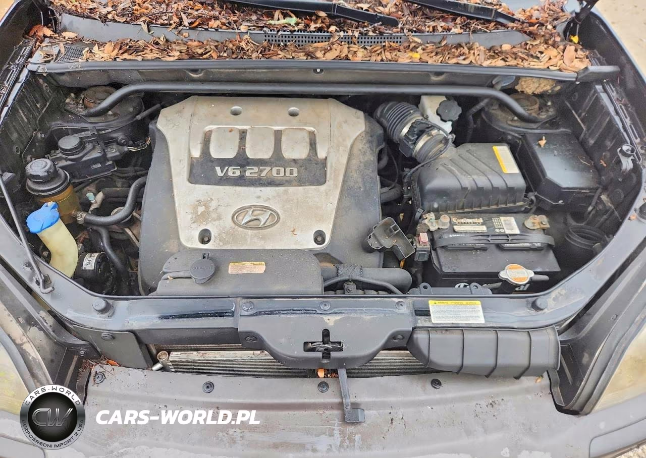 2006 Hyundai Tucson Gls VIN:KM8JN12D16U318251 - 11