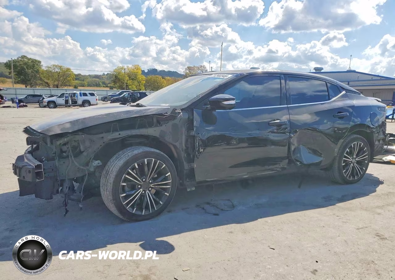 2017 Nissan Maxima Platinum VIN:1N4AA6AP9HC393965 - 1