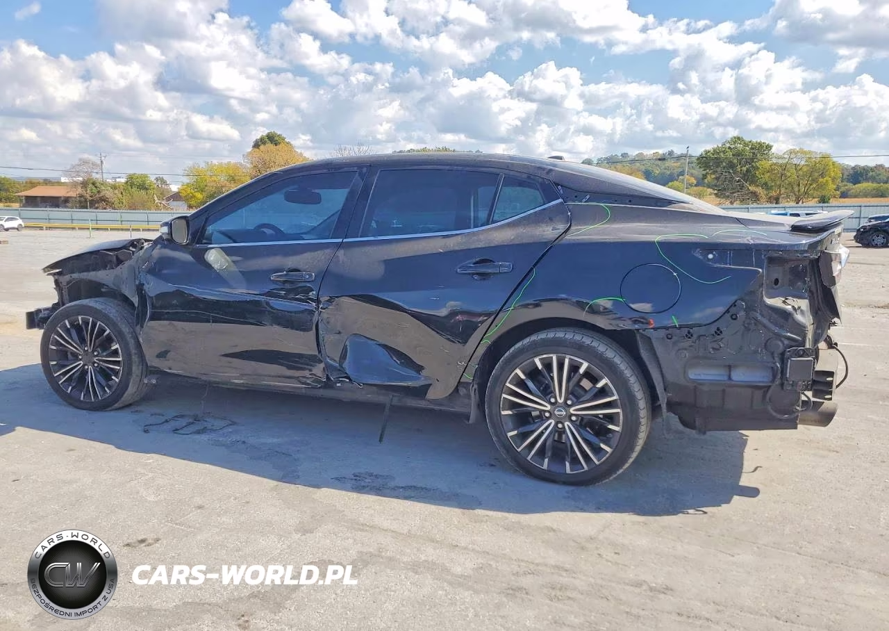 2017 Nissan Maxima Platinum VIN:1N4AA6AP9HC393965 - 2