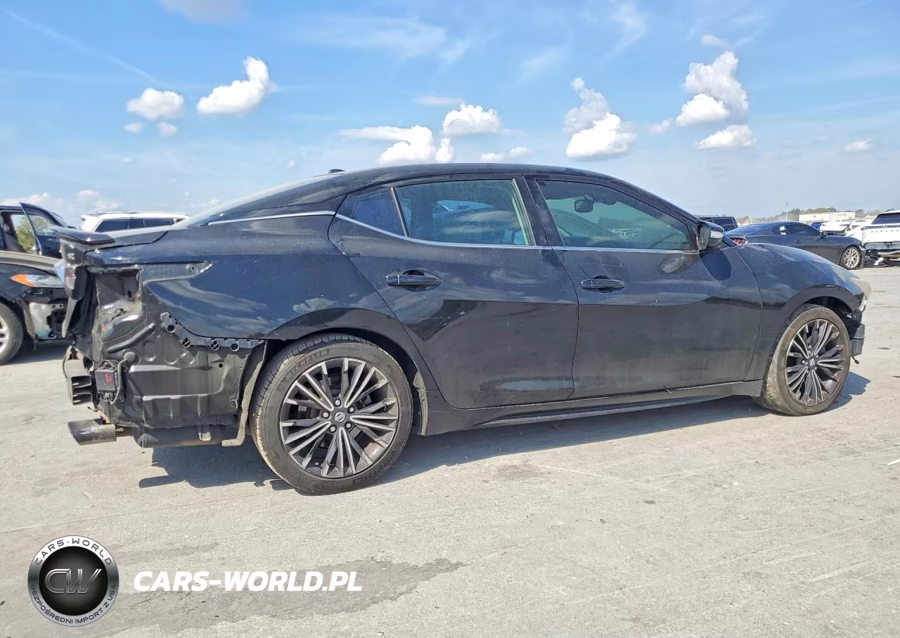 2017 Nissan Maxima Platinum VIN:1N4AA6AP9HC393965 - 3