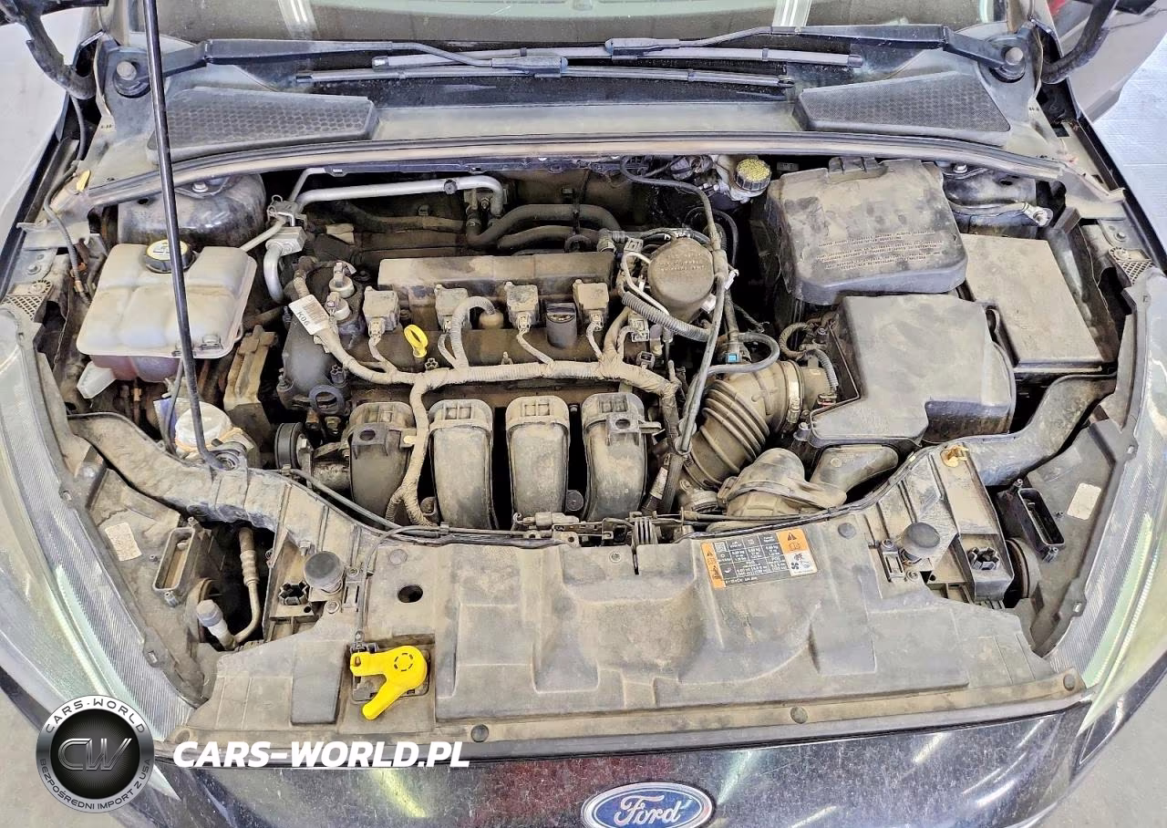 2016 Ford Focus Se VIN:1FADP3K26GL238883 - 11
