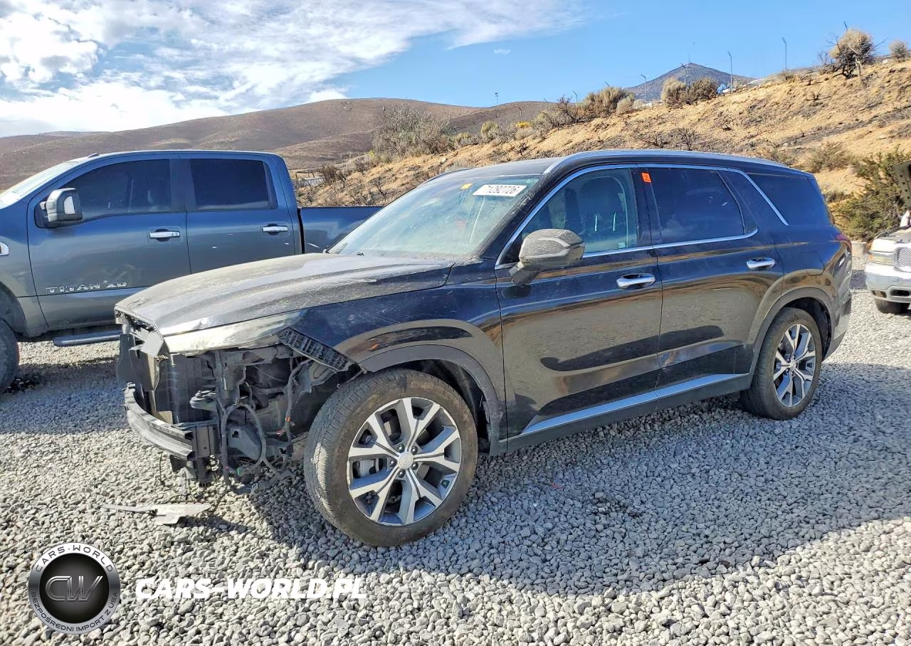 2020 Hyundai Palisade Sel VIN:KM8R4DHE8LU075797 - 1