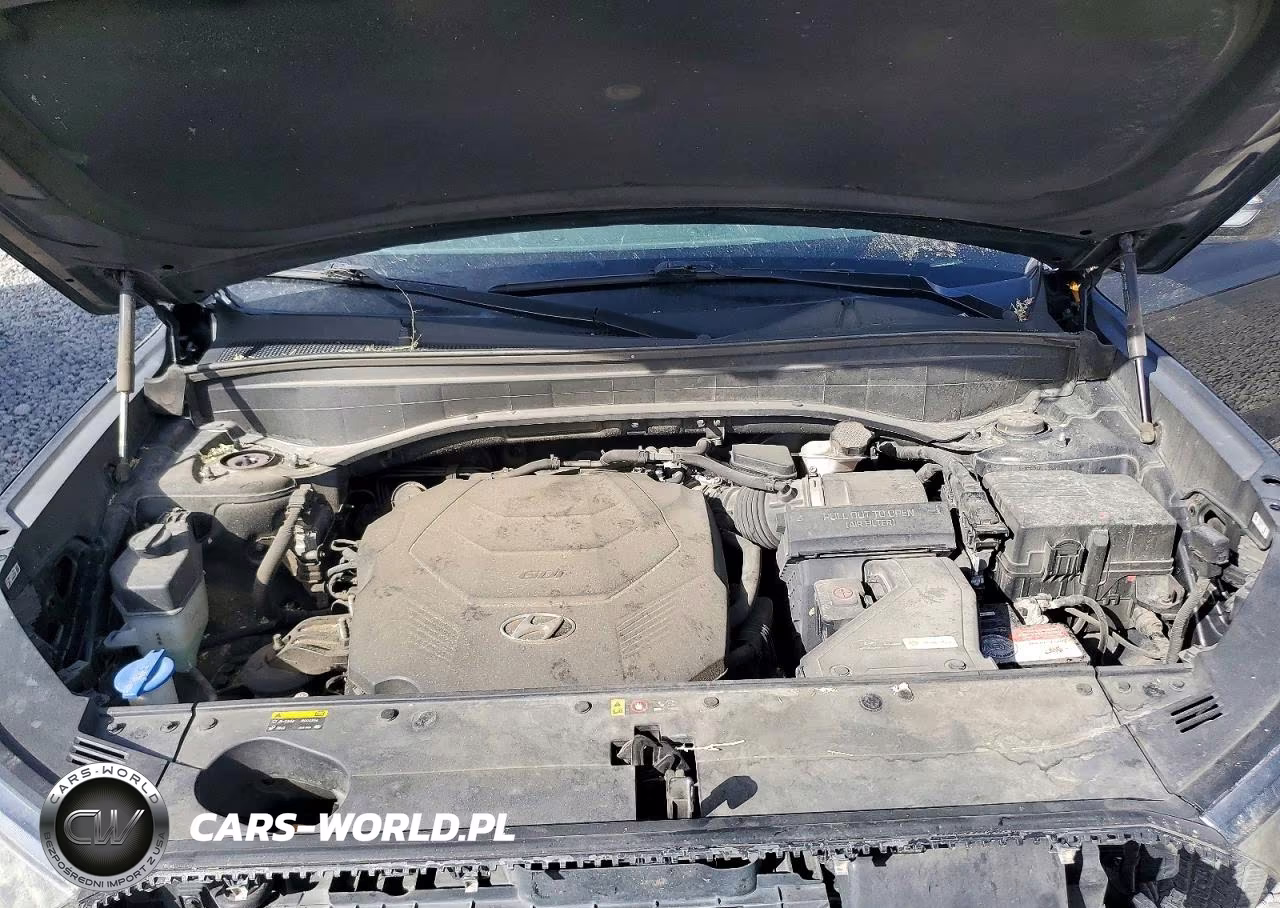 2020 Hyundai Palisade Sel VIN:KM8R4DHE8LU075797 - 12