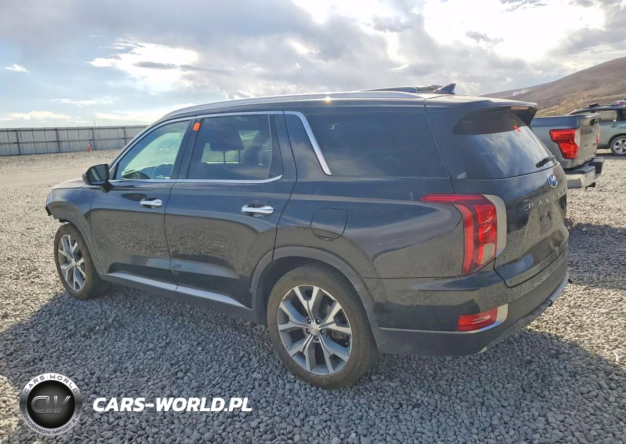 2020 Hyundai Palisade Sel VIN:KM8R4DHE8LU075797 - 2