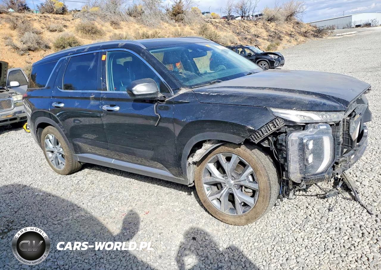 2020 Hyundai Palisade Sel VIN:KM8R4DHE8LU075797 - 4