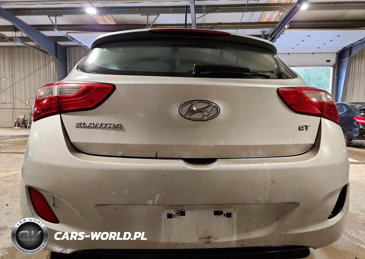 2017 Hyundai Elantra Gt Base VIN:KMHD35LH4HU350108 - 6