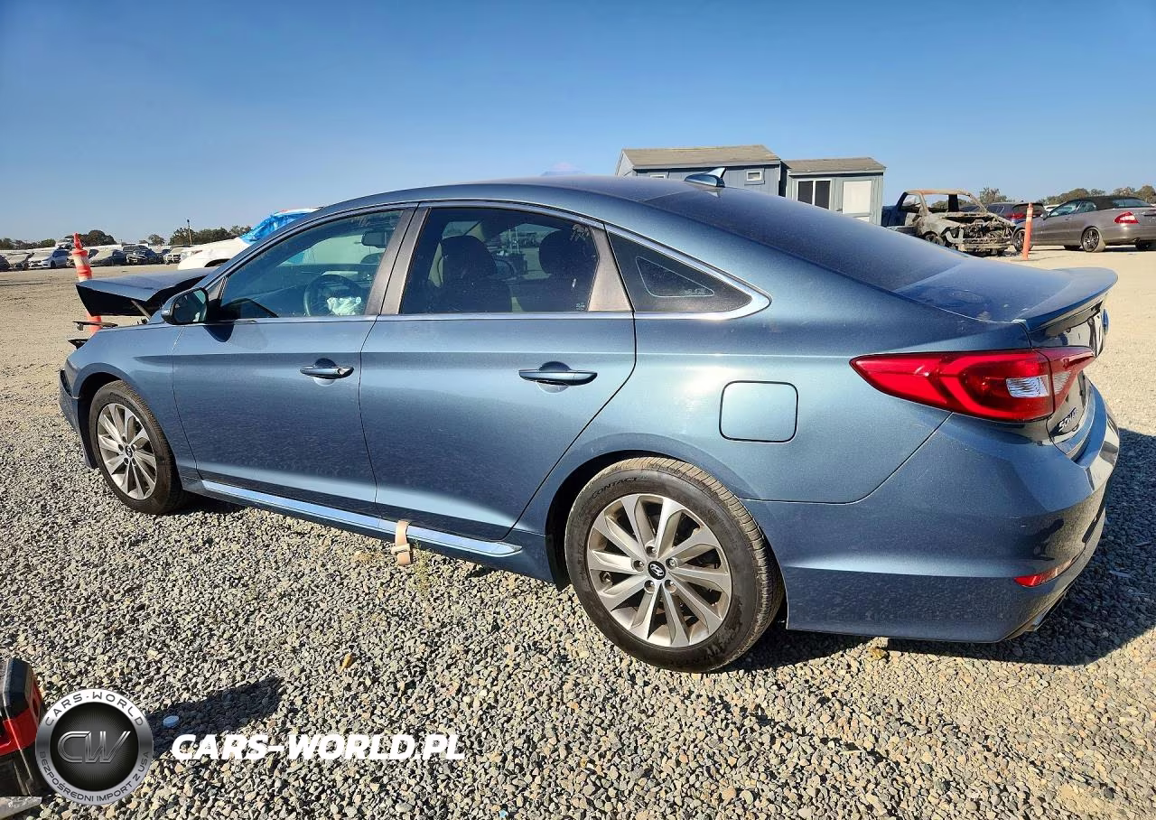 2017 Hyundai Sonata Sport VIN:5NPE34AF2HH591888 - 2