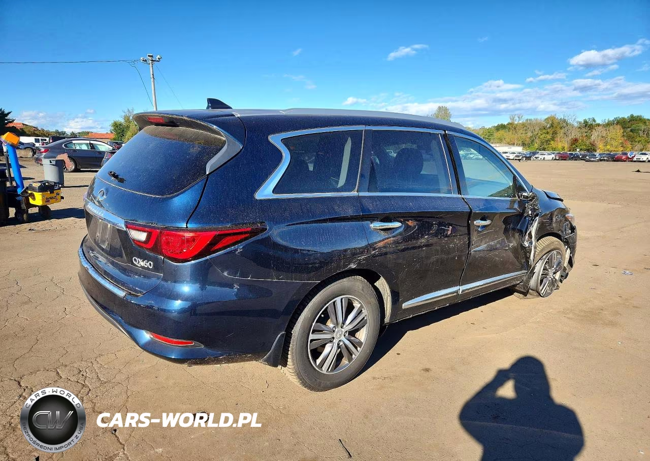 2020 Infiniti Qx60 Luxe VIN:5N1DL0MM8LC545562 - 3