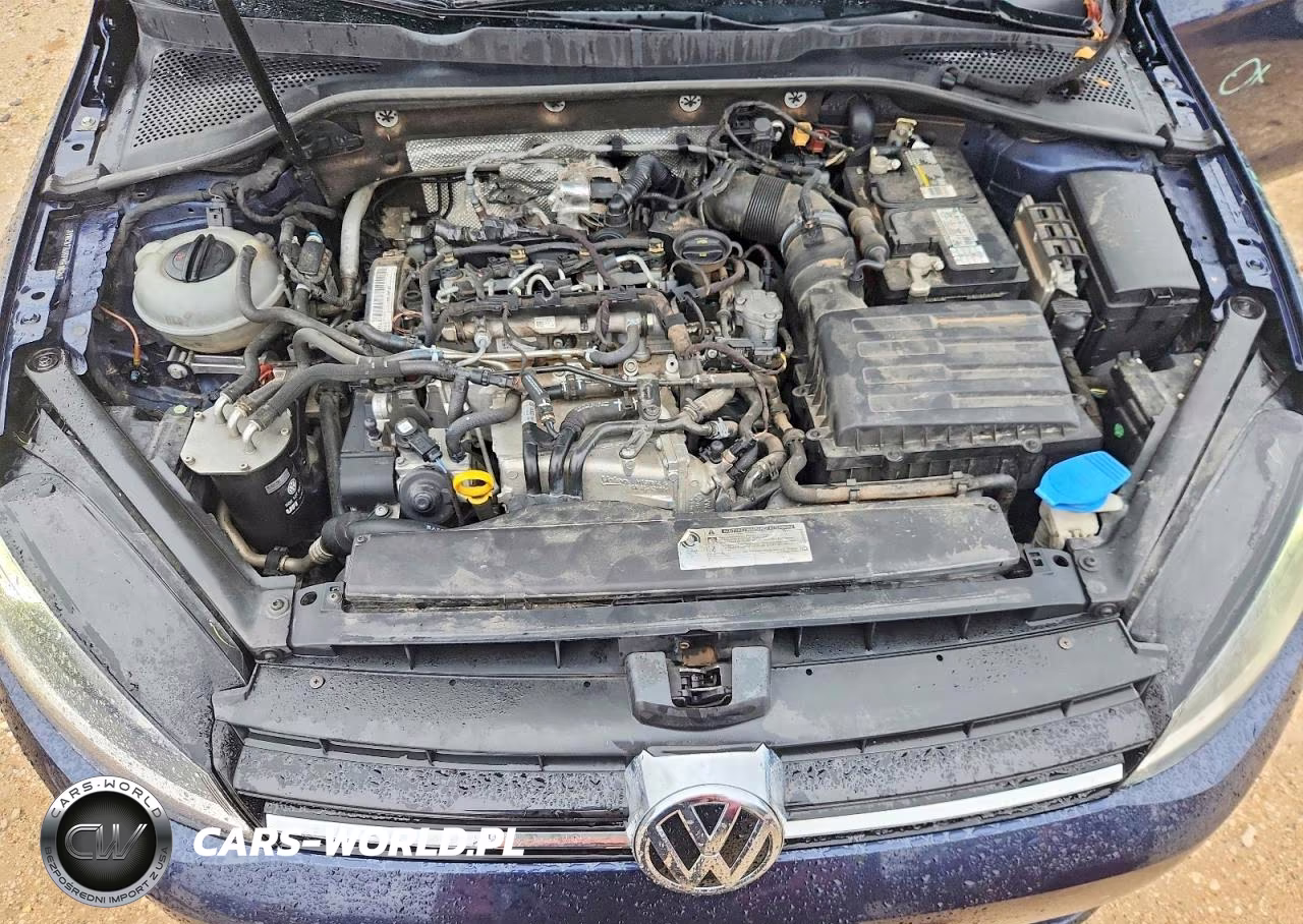 2015 Volkswagen Golf Sportwagen Tdi S VIN:3VWCA7AU5FM516247 - 11