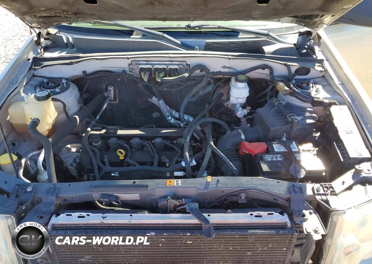 2010 Ford Escape Xlt VIN:1FMCU9D74AKB94918 - 11