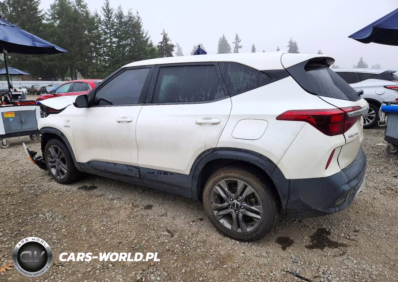 2022 Kia Seltos Lx VIN:KNDEPCAA7N7332624 - 2