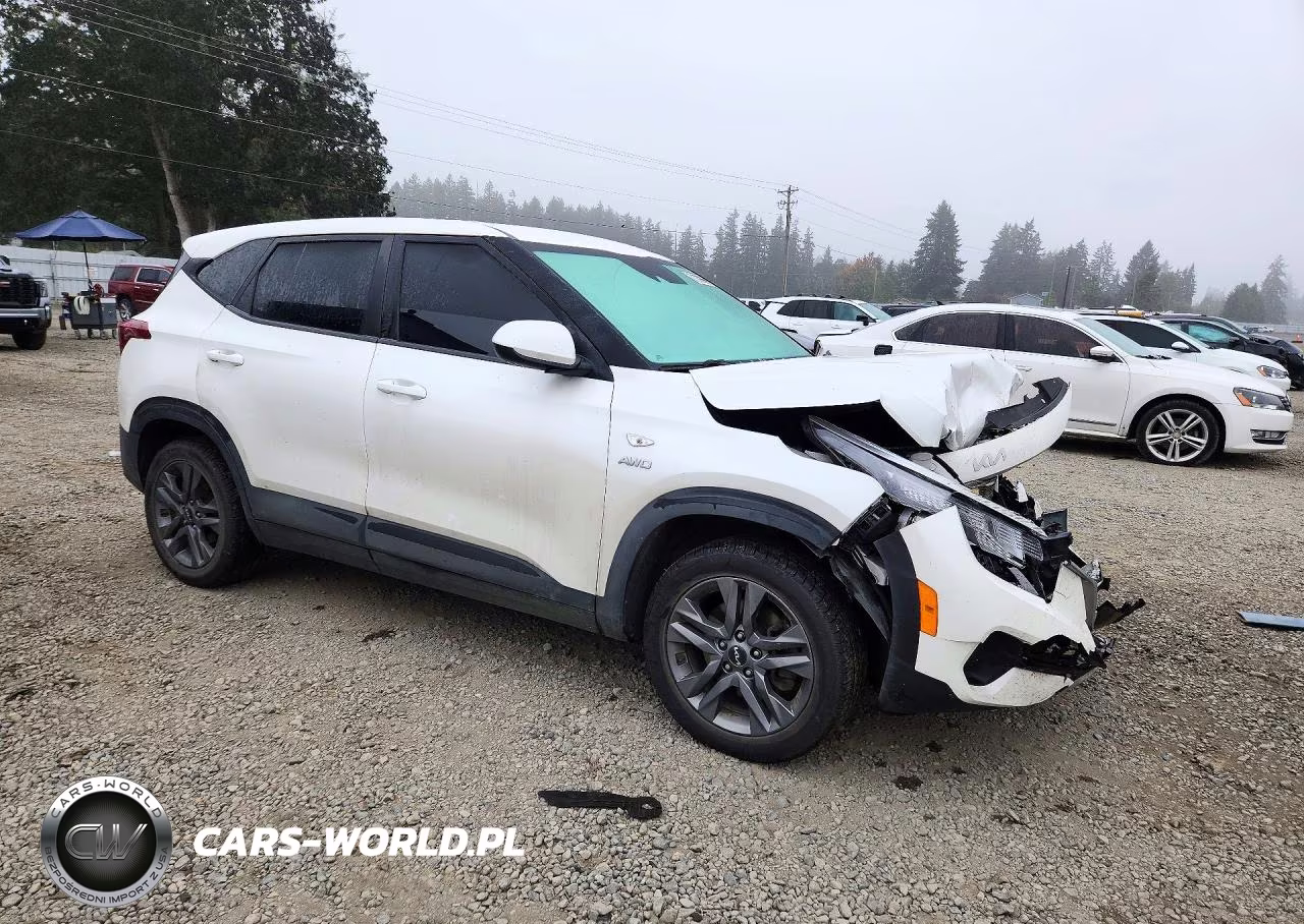 2022 Kia Seltos Lx VIN:KNDEPCAA7N7332624 - 4