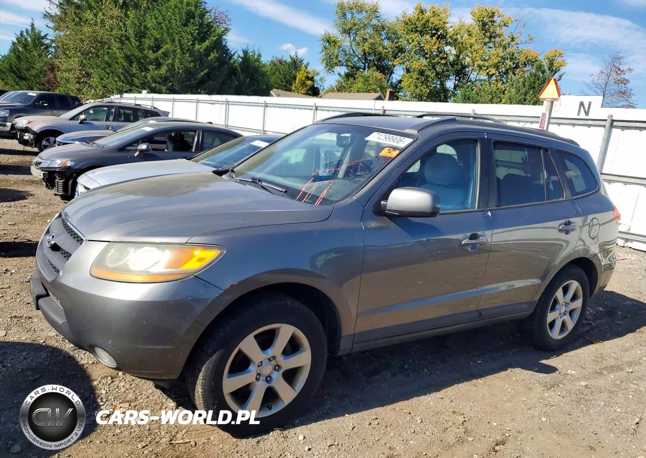 2009 Hyundai Santa Fe Se