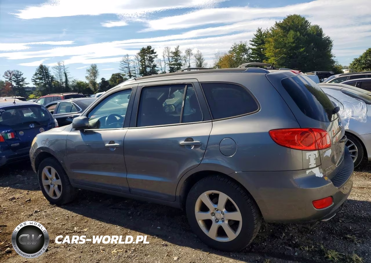 2009 Hyundai Santa Fe Se VIN:5NMSH13E69H317406 - 2