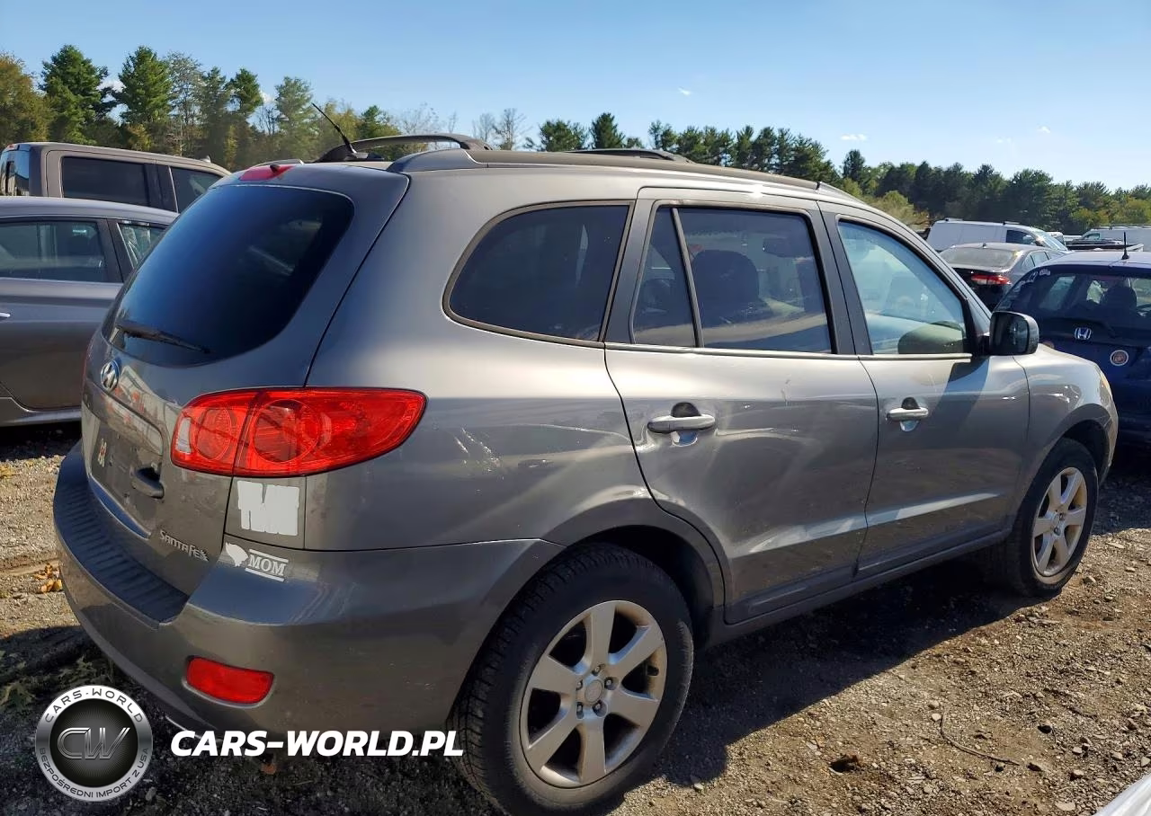 2009 Hyundai Santa Fe Se VIN:5NMSH13E69H317406 - 3