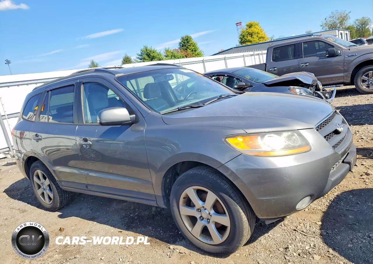 2009 Hyundai Santa Fe Se VIN:5NMSH13E69H317406 - 4