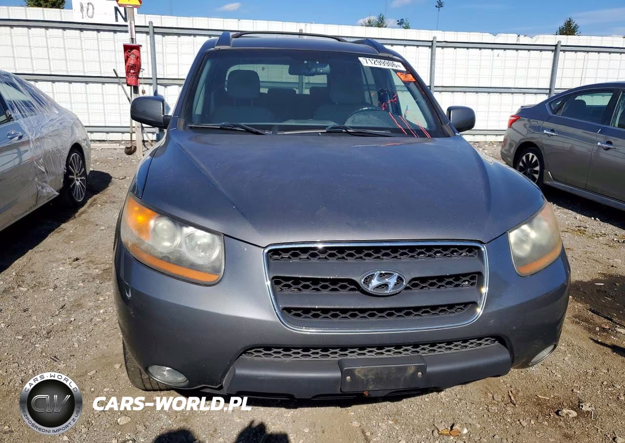 2009 Hyundai Santa Fe Se VIN:5NMSH13E69H317406 - 5