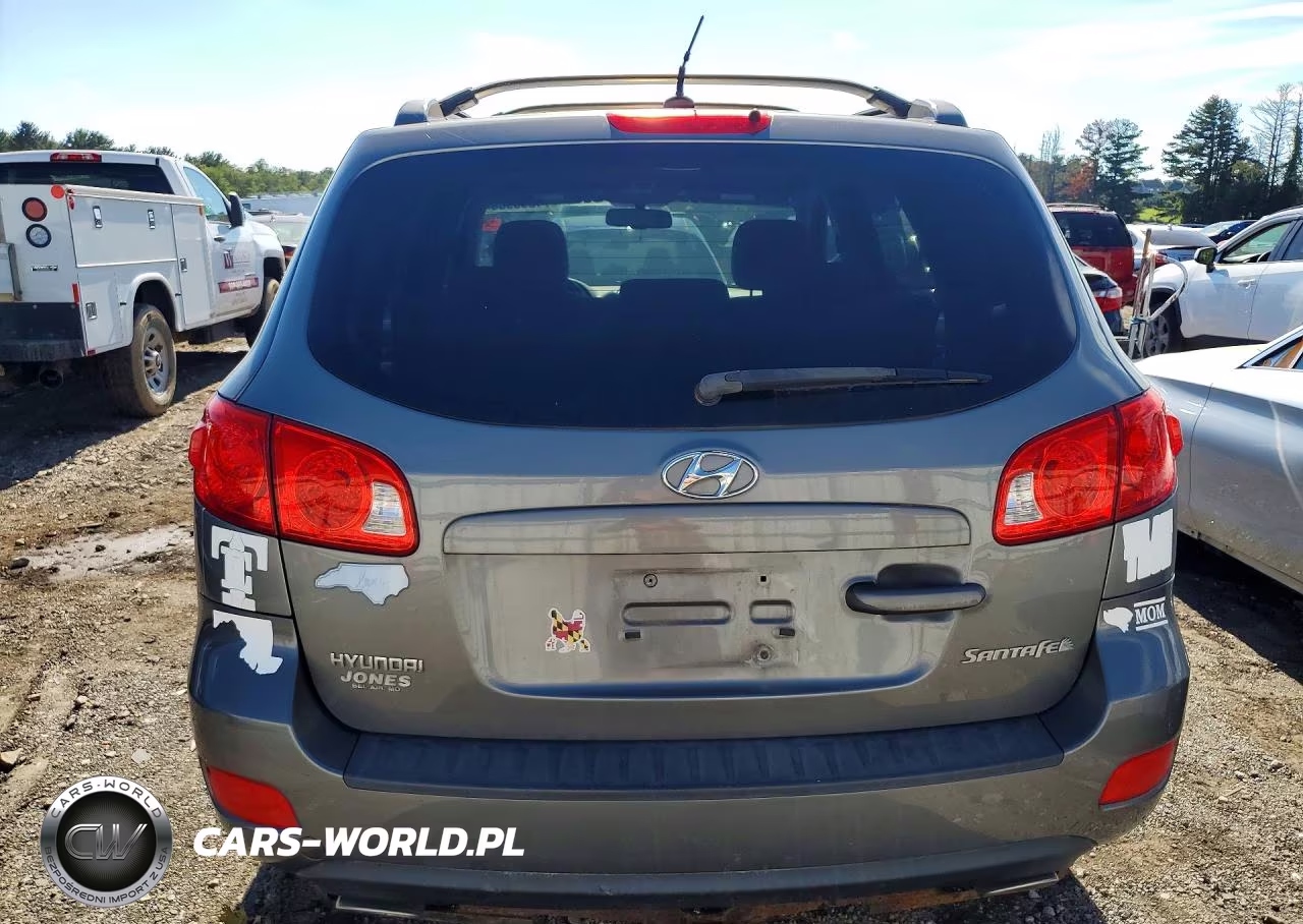 2009 Hyundai Santa Fe Se VIN:5NMSH13E69H317406 - 6