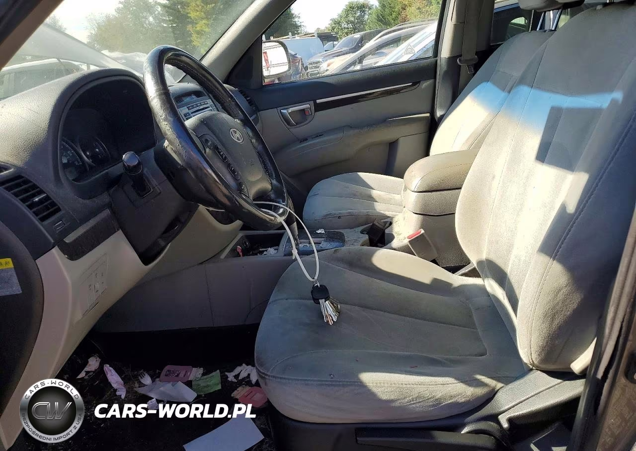 2009 Hyundai Santa Fe Se VIN:5NMSH13E69H317406 - 7