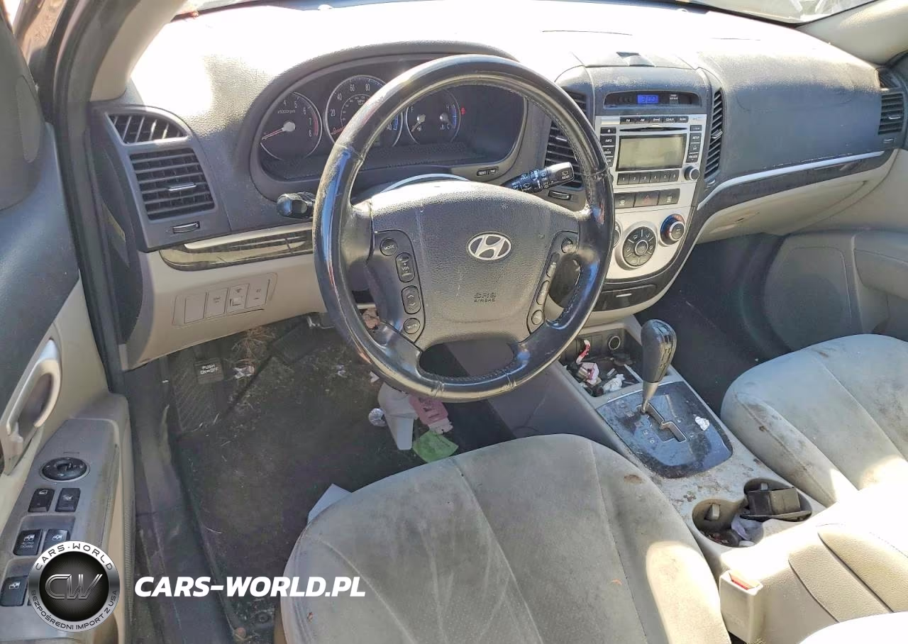 2009 Hyundai Santa Fe Se VIN:5NMSH13E69H317406 - 8