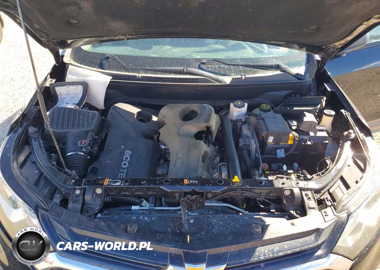 2019 Chevrolet Equinox Ls VIN:2GNAXHEV5K6249818 - 11