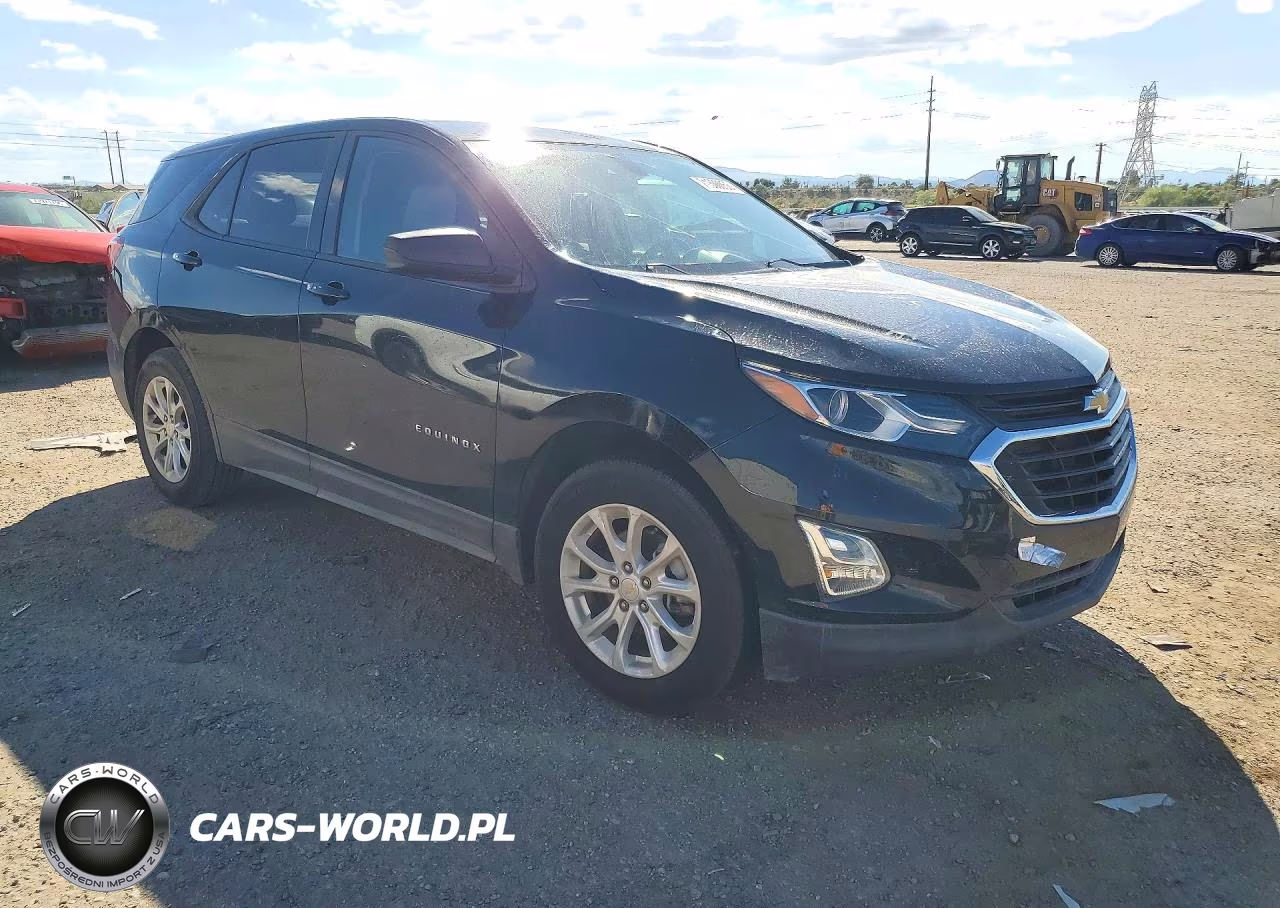 2019 Chevrolet Equinox Ls VIN:2GNAXHEV5K6249818 - 4