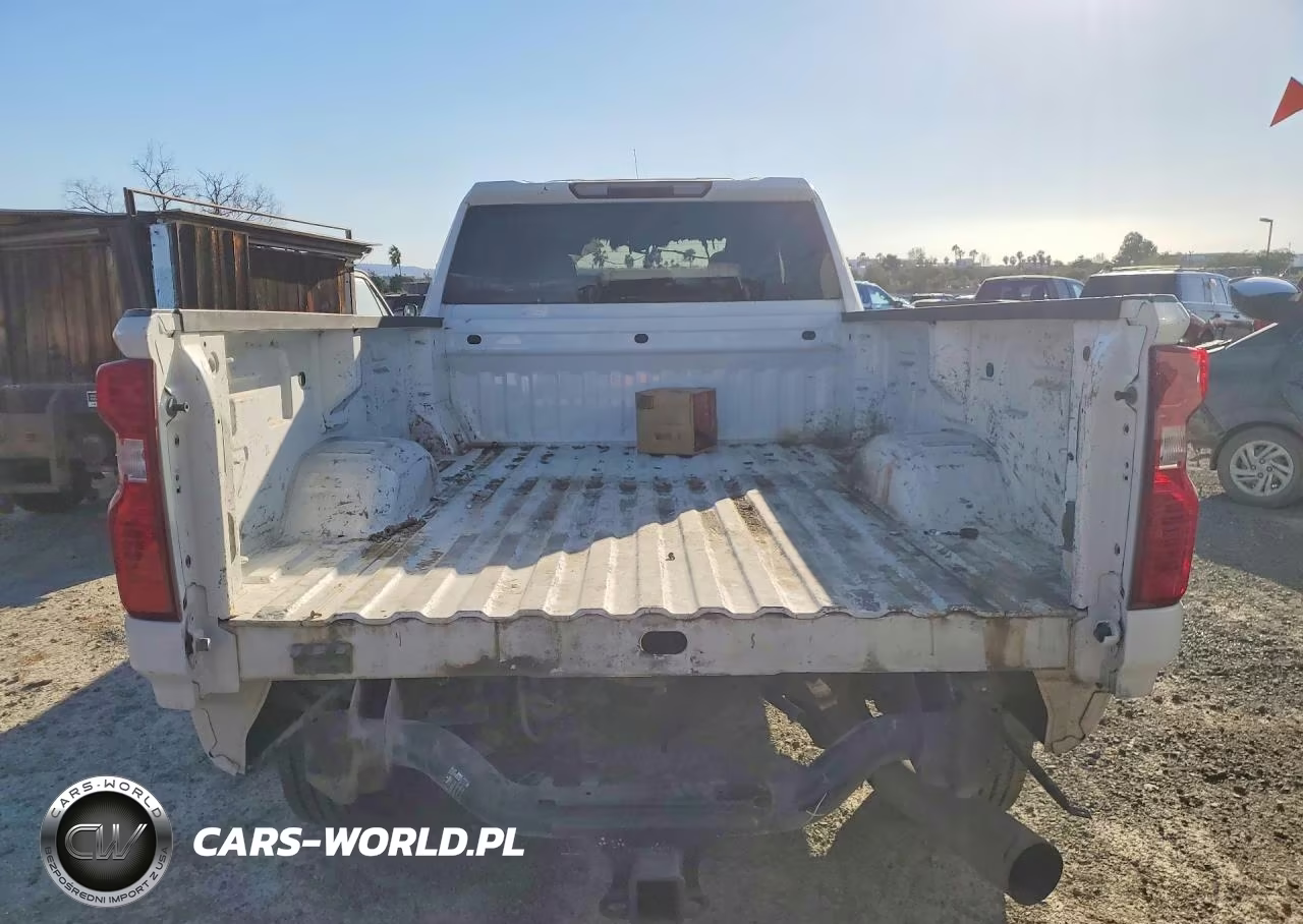 2020 Chevrolet Silverado C2500 Heavy Duty VIN:1GC5WLEY6LF328674 - 6