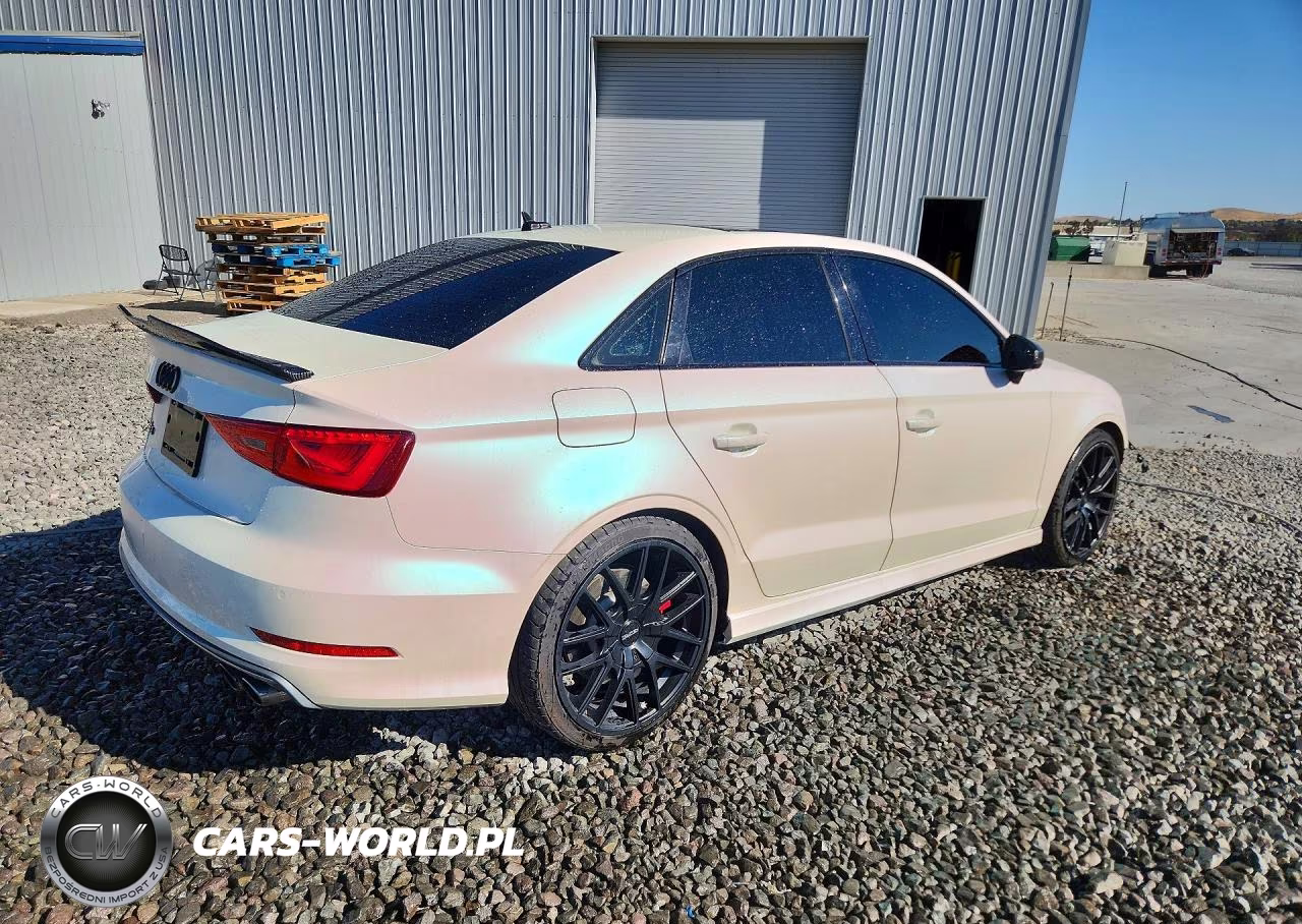 2016 Audi S3 Premium Plus VIN:WAUB1GFF6G1069884 - 3