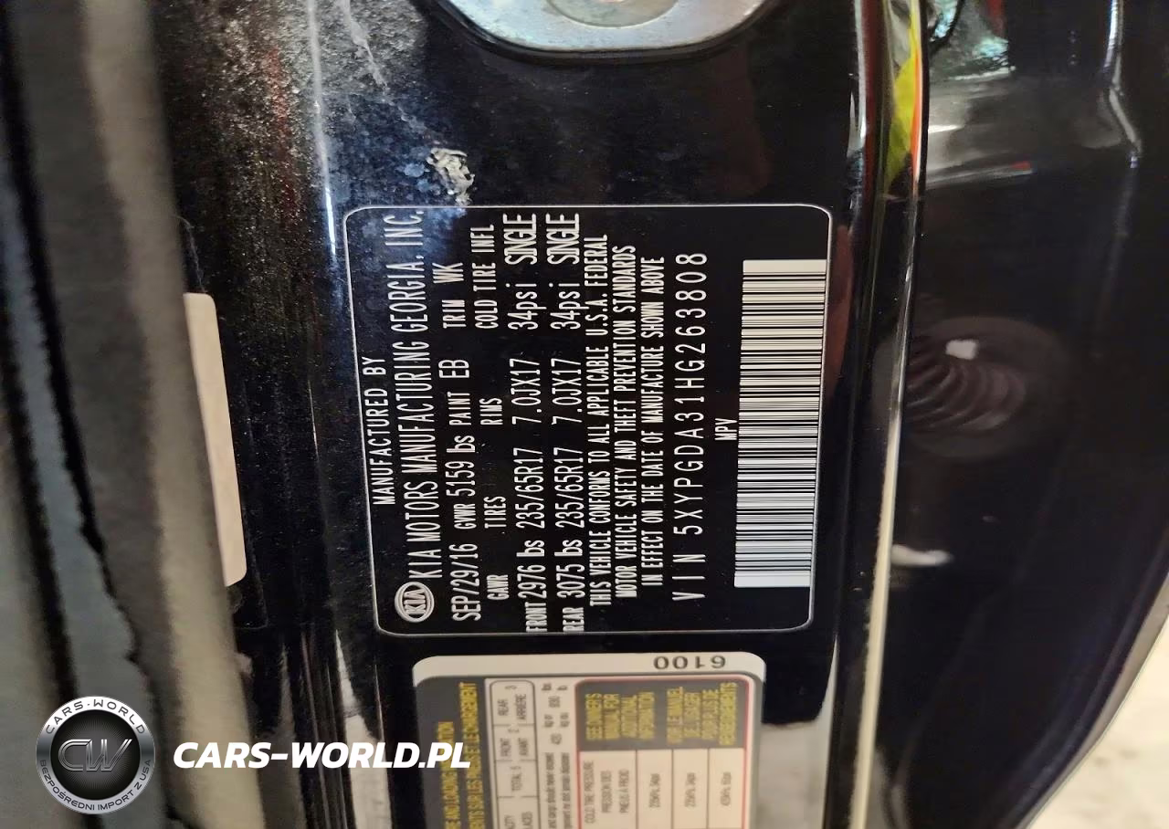 2017 Kia Sorento Lx VIN:5XYPGDA31HG263808 - 13